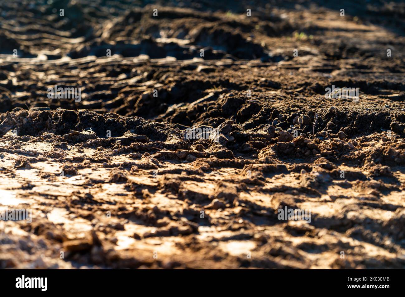 Tyre tracks disturbing the soil Stock Photo