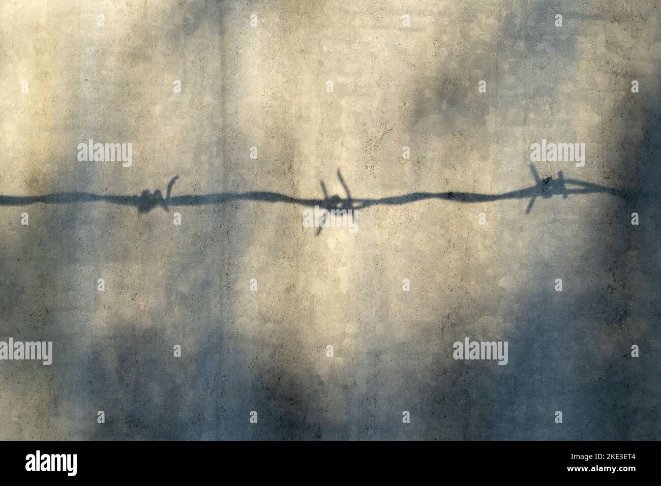 Shadow of barbed wire on a corrugated iron wall Stock Photo