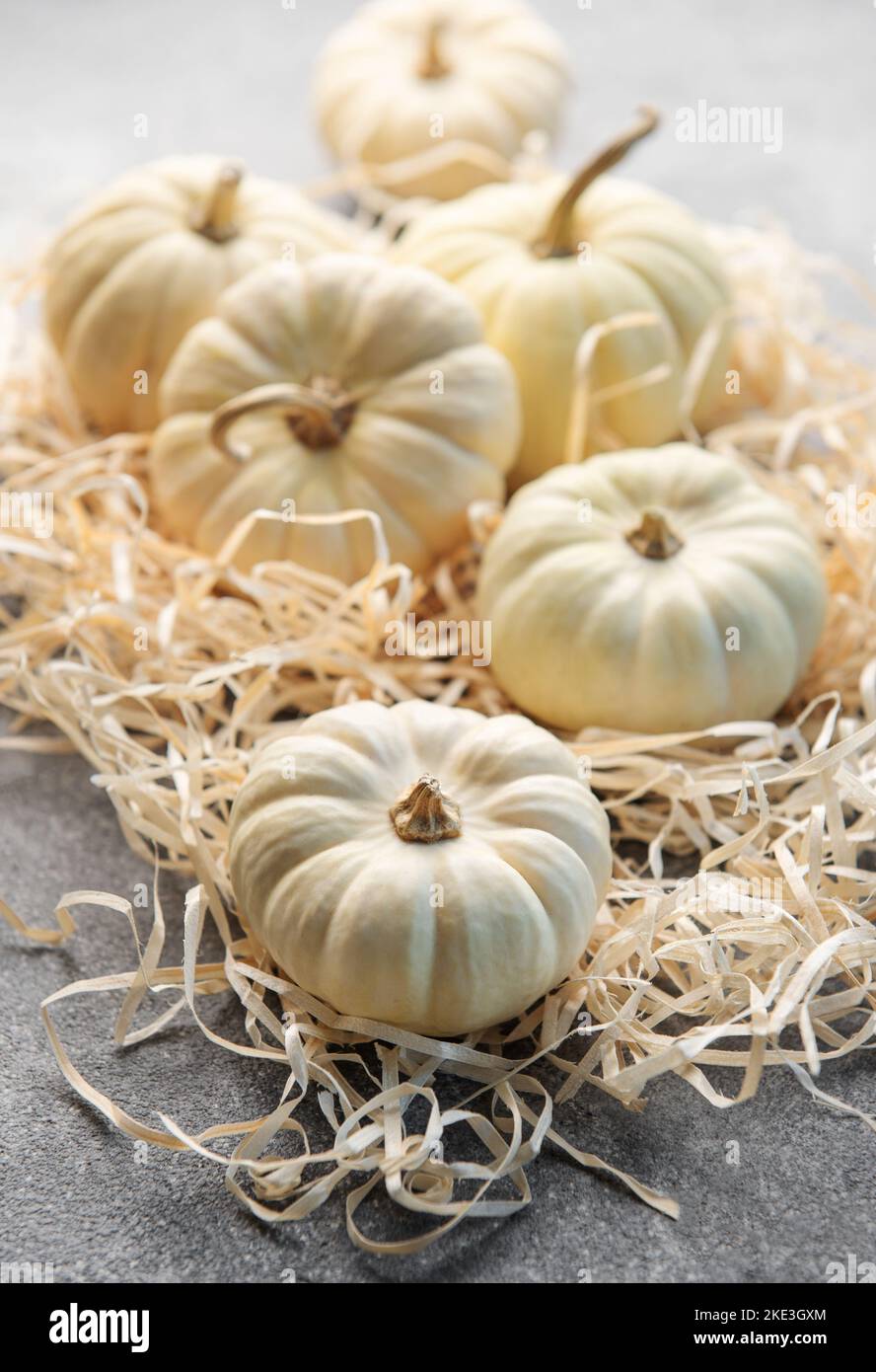 Thanksgiving craft ideas pre k