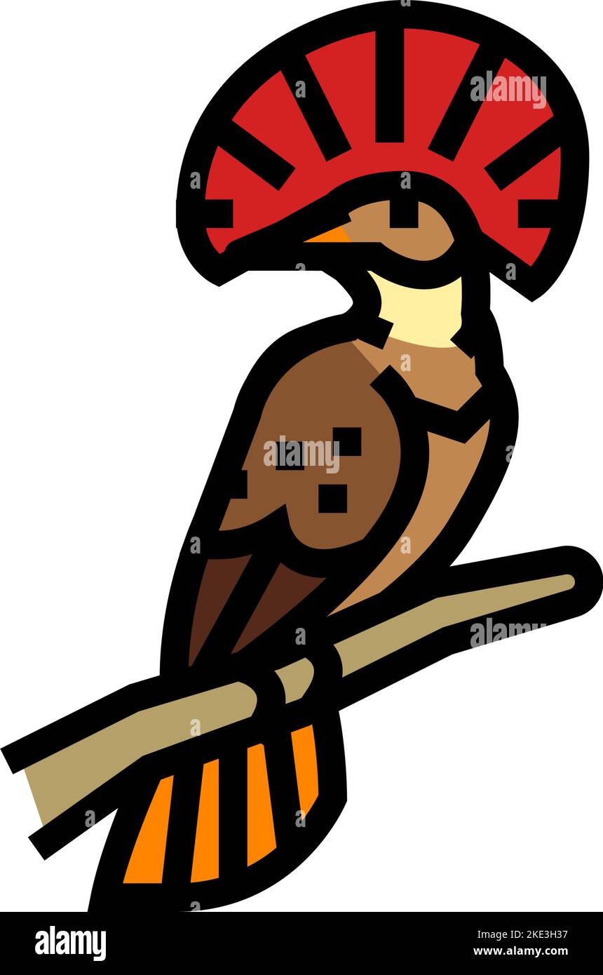 royal flycatcher bird exotic color icon vector illustration Stock ...