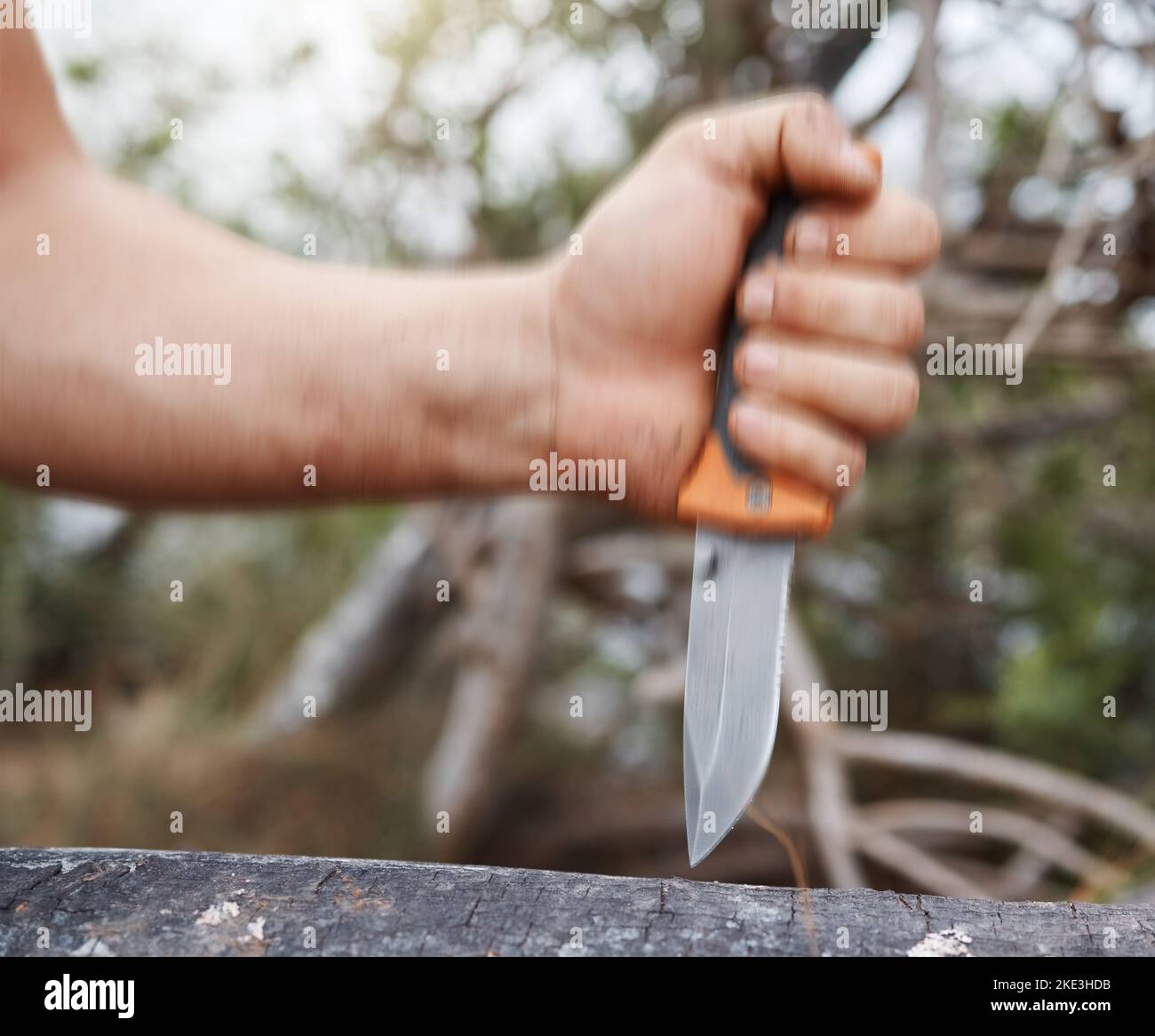 Man, hand and knife in nature forest, sustainability woods and