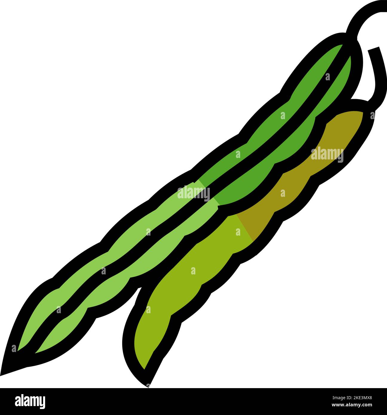 green bean food color icon vector illustration Stock Vector Image & Art ...