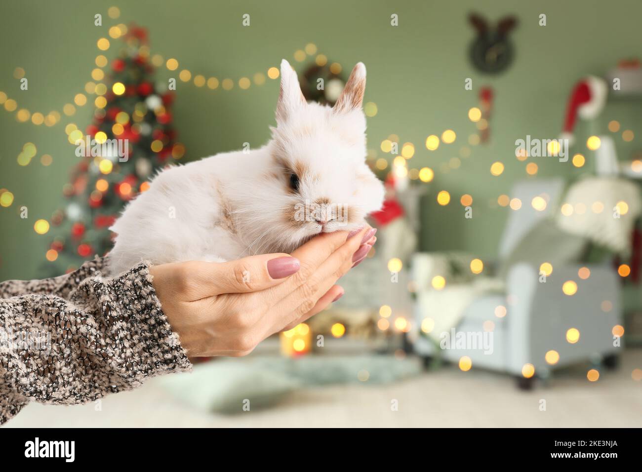 Young woman with cute rabbit at home. Greeting card for New Year 2023