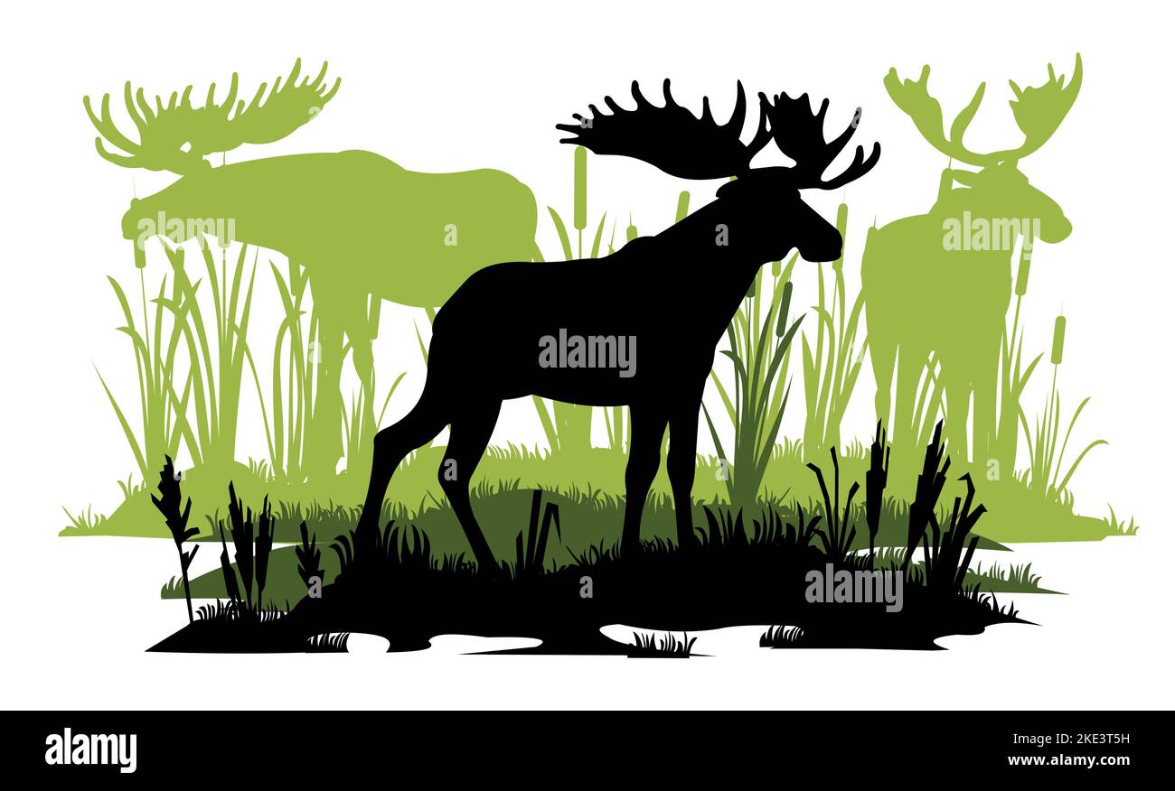 Elk with big antlers male. Herd grazing. Silhouette picture. Reeds graze in swamp. Animals in wild. Overgrown river bank. Isolated on white background Stock Vector