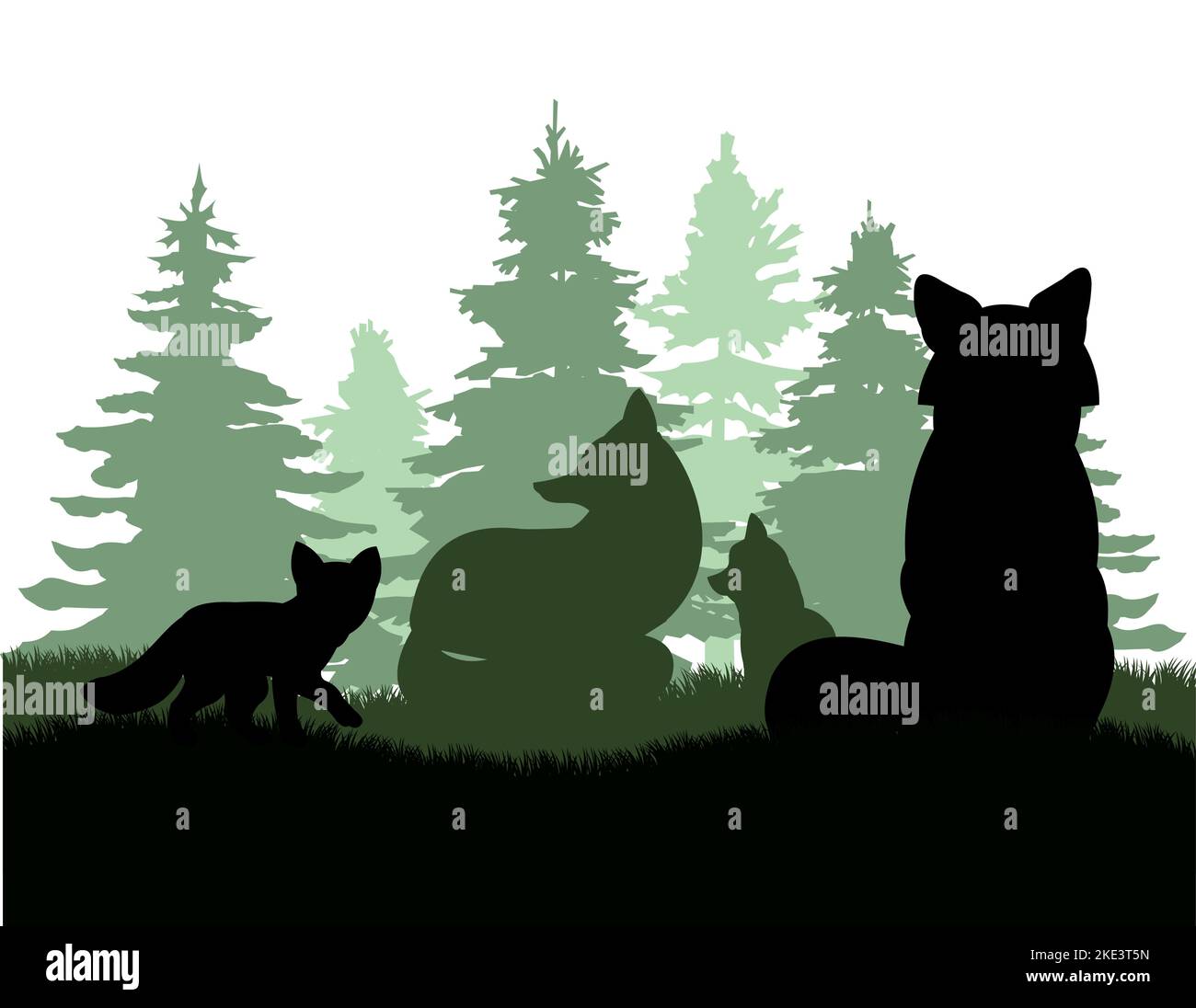 Family of foxes in coniferous forest clearing. Animal silhouette. Wild life picture. Isolated on white background. Vector. Stock Vector