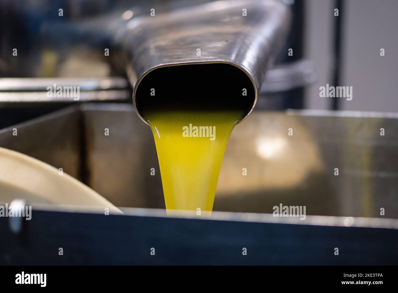 Fresh extra virgin olive oil pouring into tank at a cold-press factory after the olive season harvesting Stock Photo