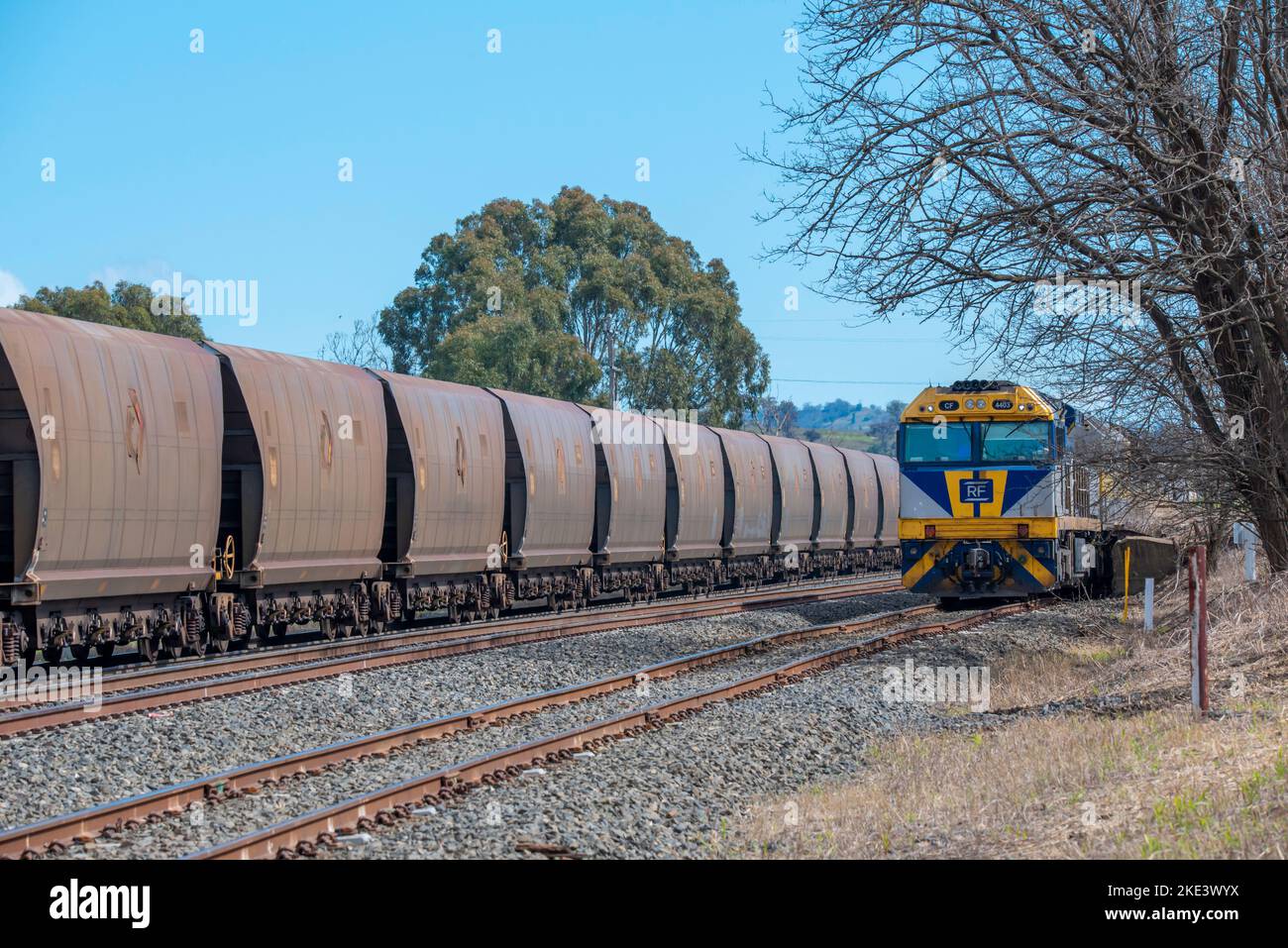 A Rail First diesel locomotive engine CF 4403 stopped just outside Willow Tree railway station in the Upper Hunter Valley, New South Wales, Australia Stock Photo