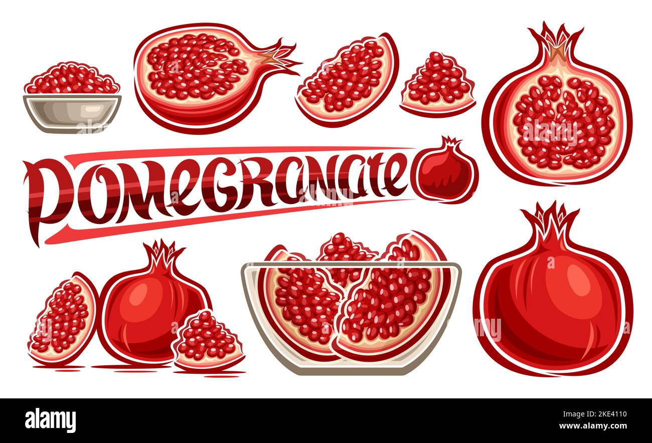 Vector Pomegranate Set, horizontal poster with lot collection of cut out illustrations fruity pomegranate still life in glass plate, group of many var Stock Vector