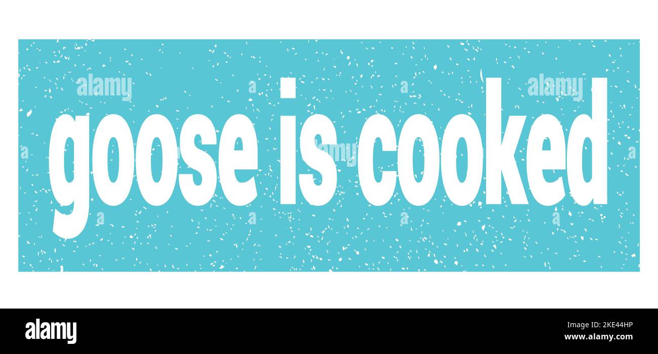 goose is cooked text written on blue grungy stamp sign. Stock Photo