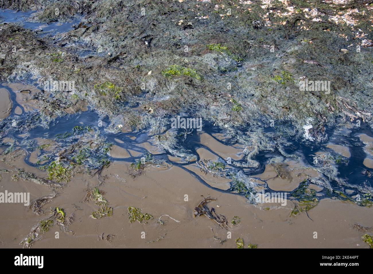 Black and brown sand forming a natural pattern during low tide in the ...