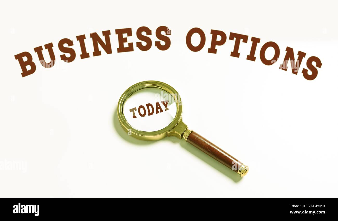 Conceptual display Business Options. Concept meaning one thing that can