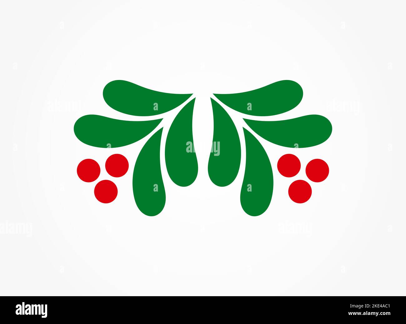 Christmas holly mistletoe decoration leaves and fruits. Vector ...