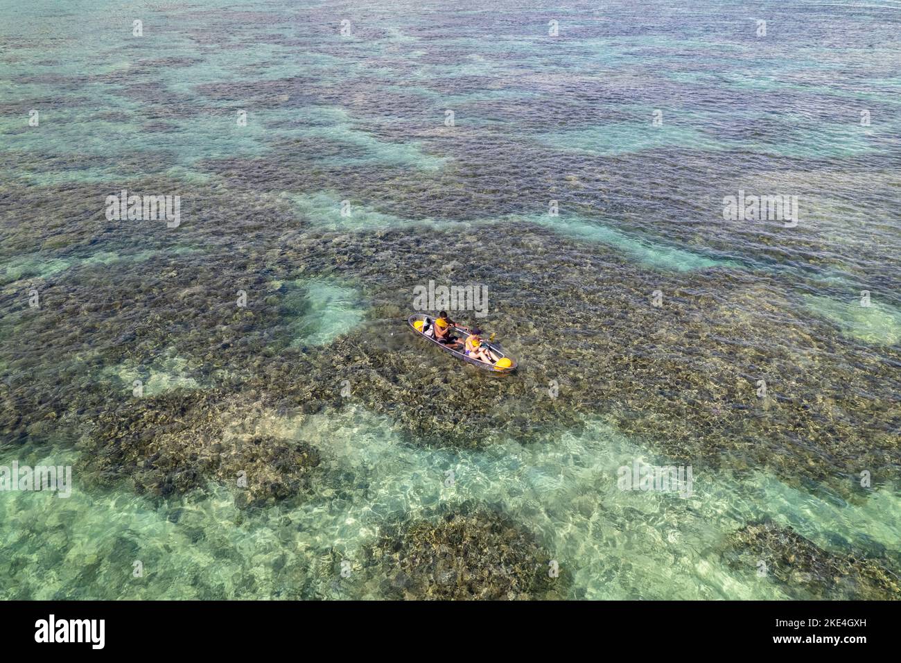 Kayaking birds eye view hires stock photography and images Alamy