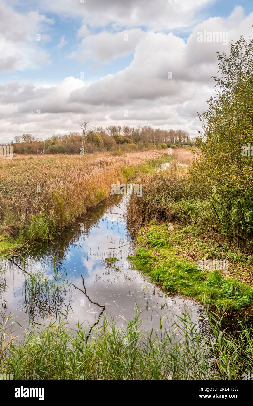 Marshland at Sculthorpe Moor Nature Reserve. Seen from The Whitley Hide also known as the  Fen Hide. Stock Photo