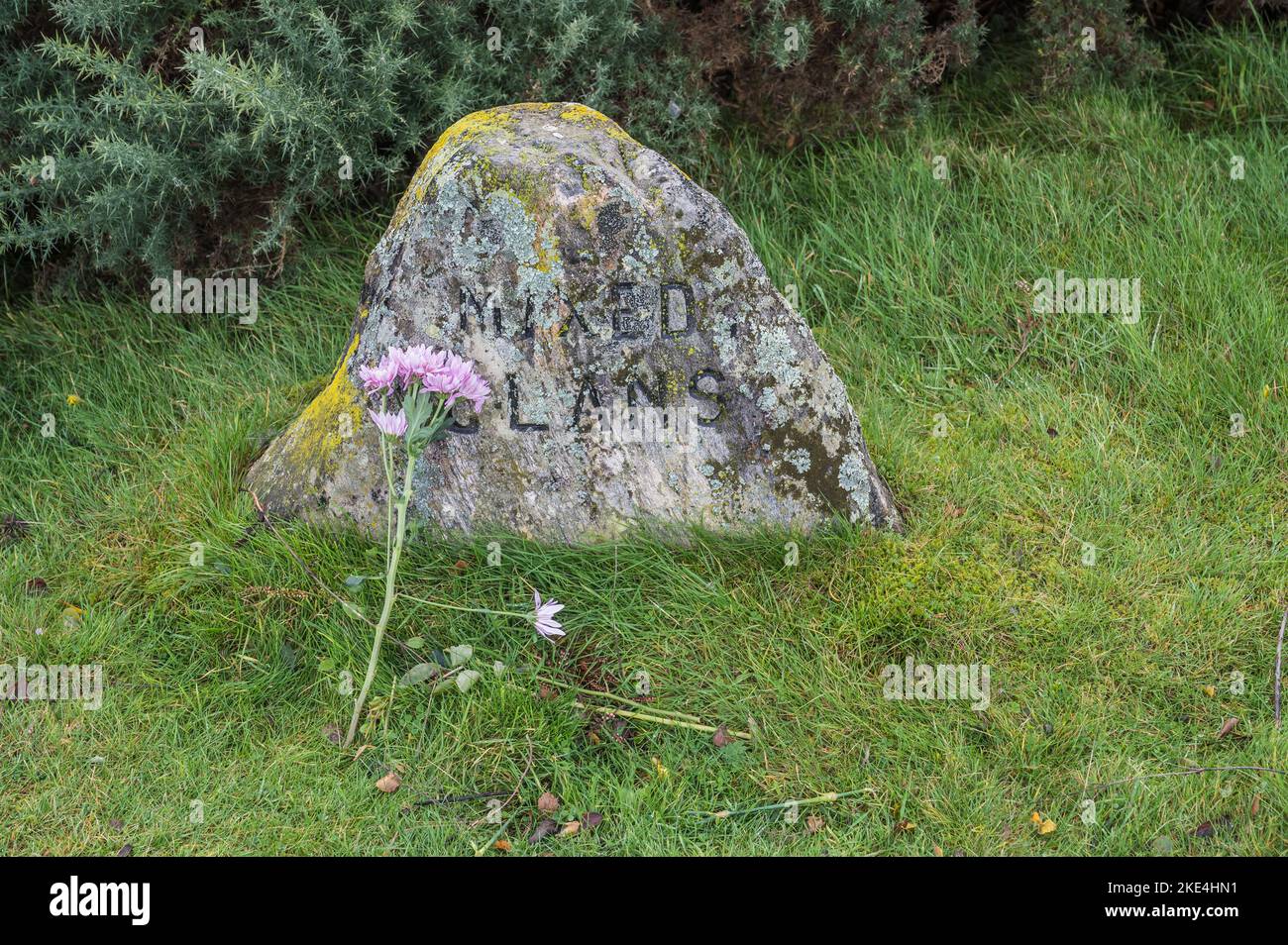 The image is of Clan Stone memorials at Culloden Moor battlefield near Inverness Stock Photo