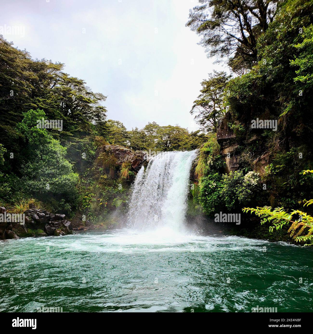 A scenic display of the Tawhai Falls, Gollums Pool water flowing down