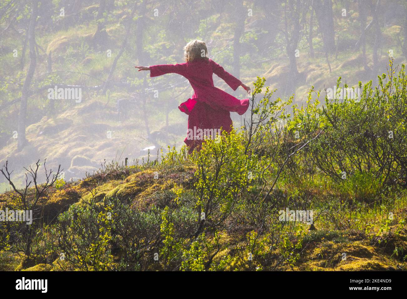 Huldra, an elusive forest creature from Norse Mythology Stock Photo - Alamy