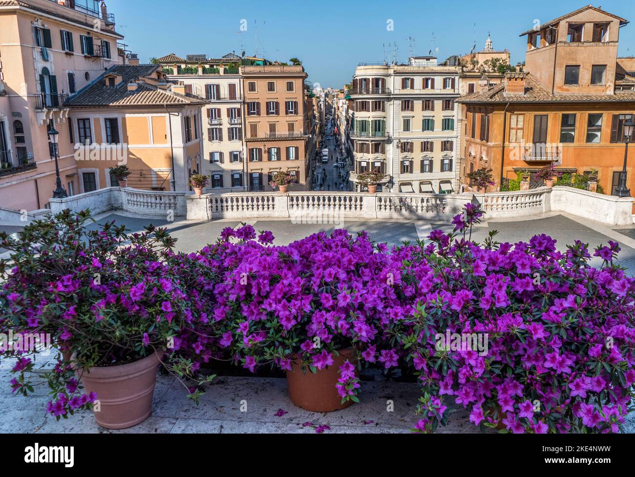 The famous Spanish Steps in Rome with beautiful flowers and no people