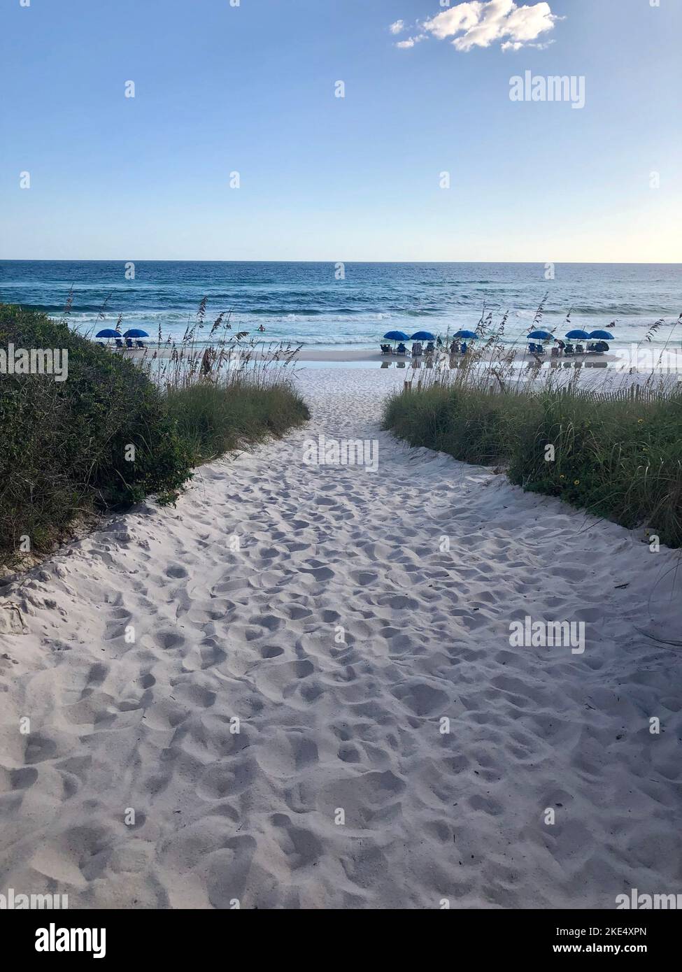 A sandy path with footprints to the beach with wild grass and blue