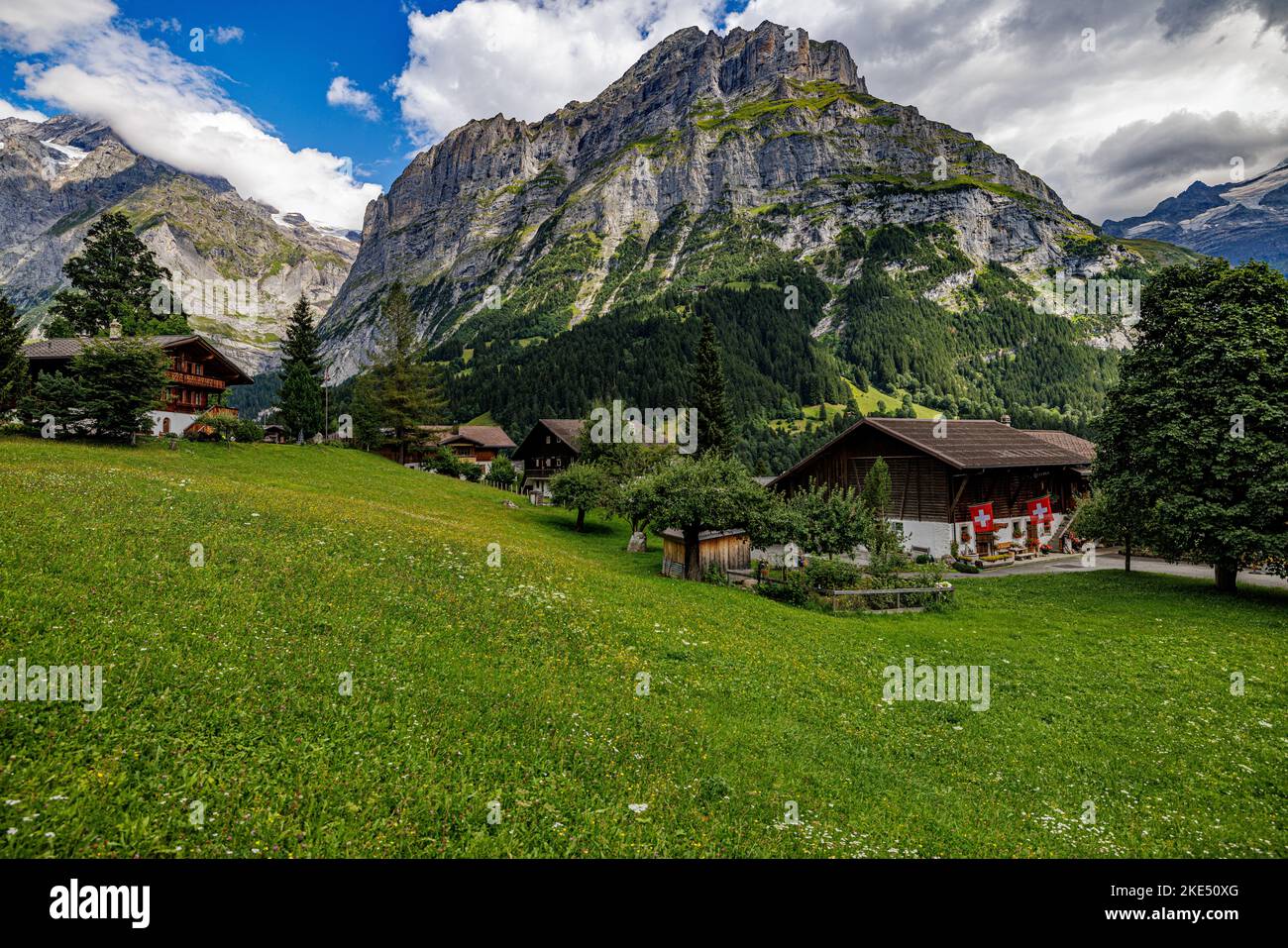 A beautiful scenery of countryside houses in grass field with fresh ...