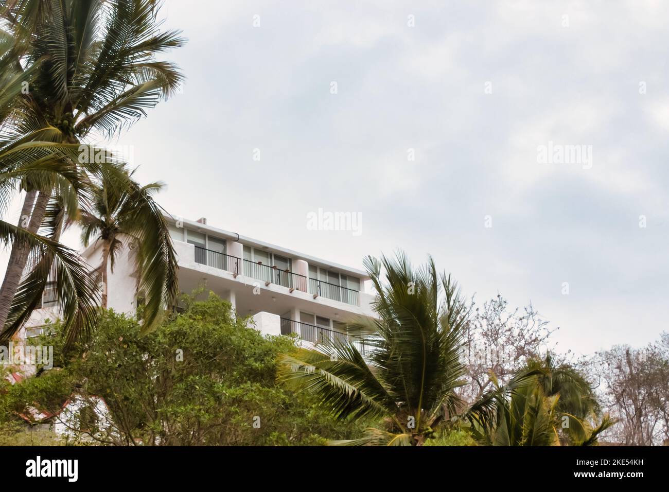 a-low-angle-shot-of-palm-trees-against-a-building-with-balconies-on-a