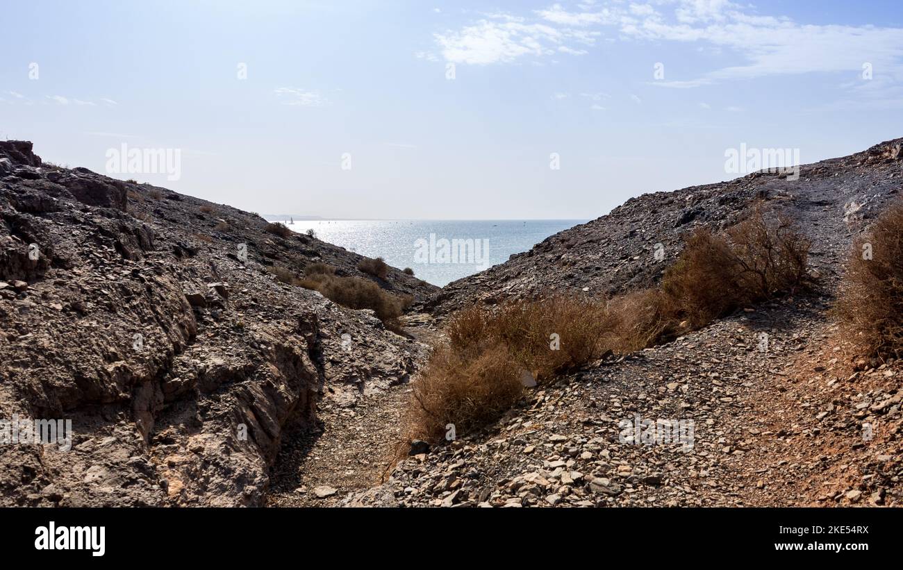 Volcanic rock habitat hi-res stock photography and images - Alamy