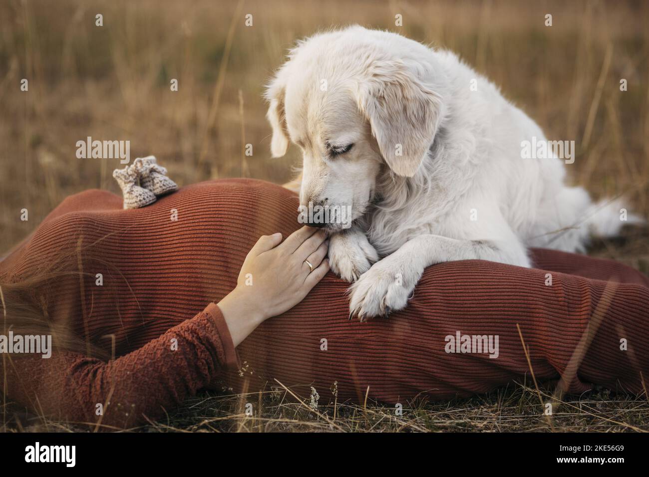 Visual idea from this collection