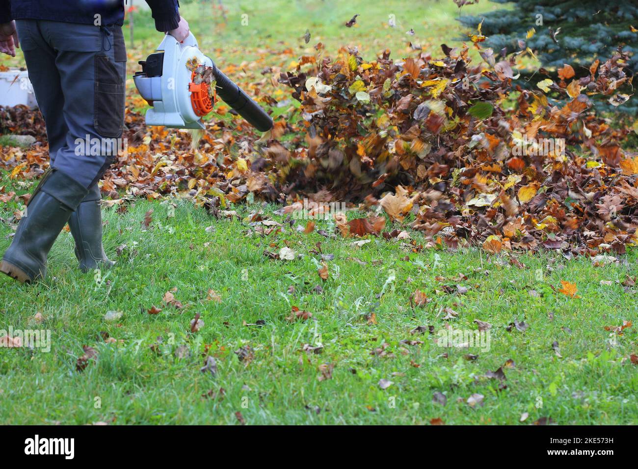 Worker cleaning falling leaves in autumn park. Man using leaf blower for cleaning autumn leaves. Autumn season. Park cleaning service. Stock Photo