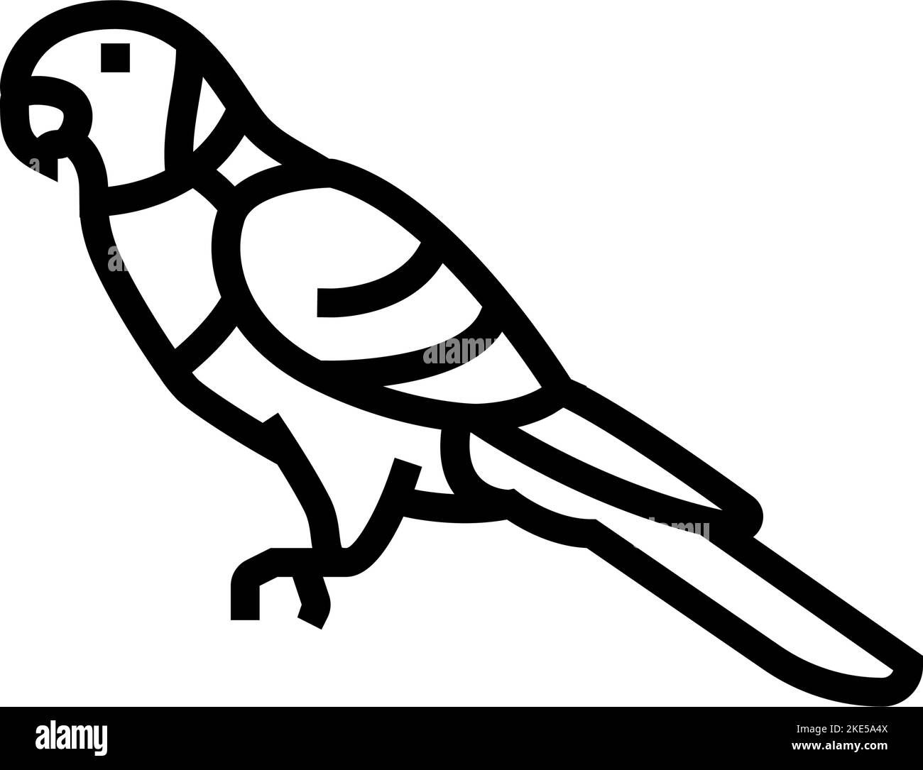 rainbow lorikeet bird exotic line icon vector illustration Stock Vector