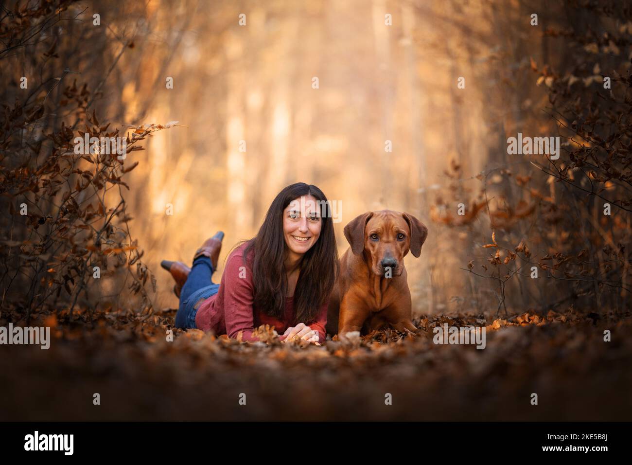 woman and Rhodesian Ridgeback Stock Photo - Alamy