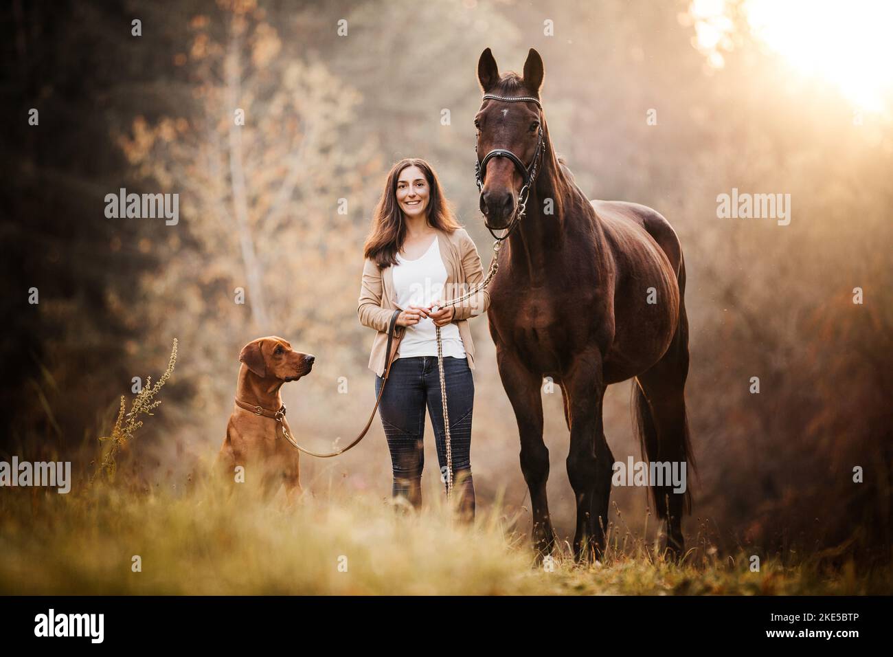 woman, Rhodesian Ridgeback and horse Stock Photo - Alamy