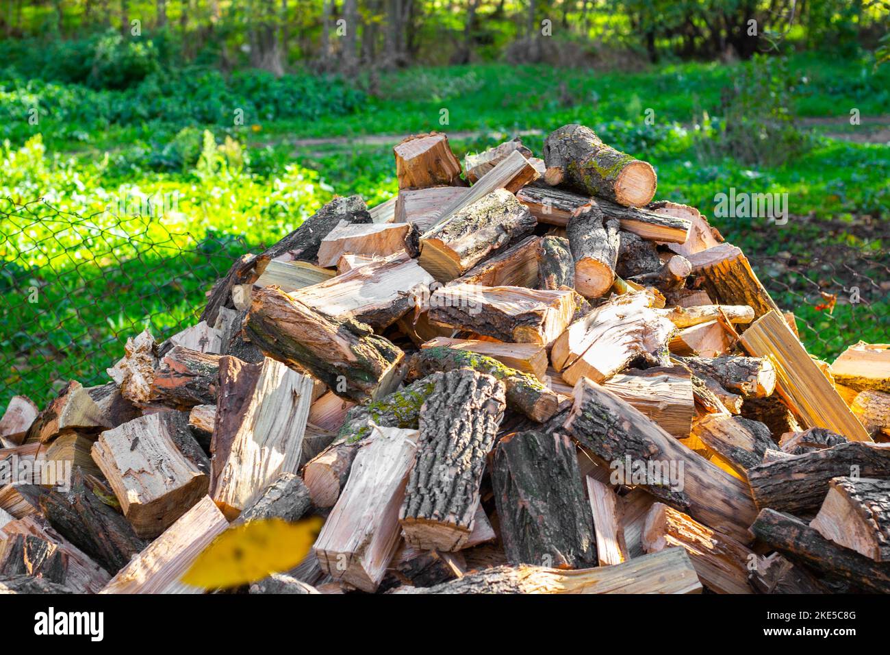 A pile of firewood in the yard, harvested for heating the house in the winter. Stock Photo