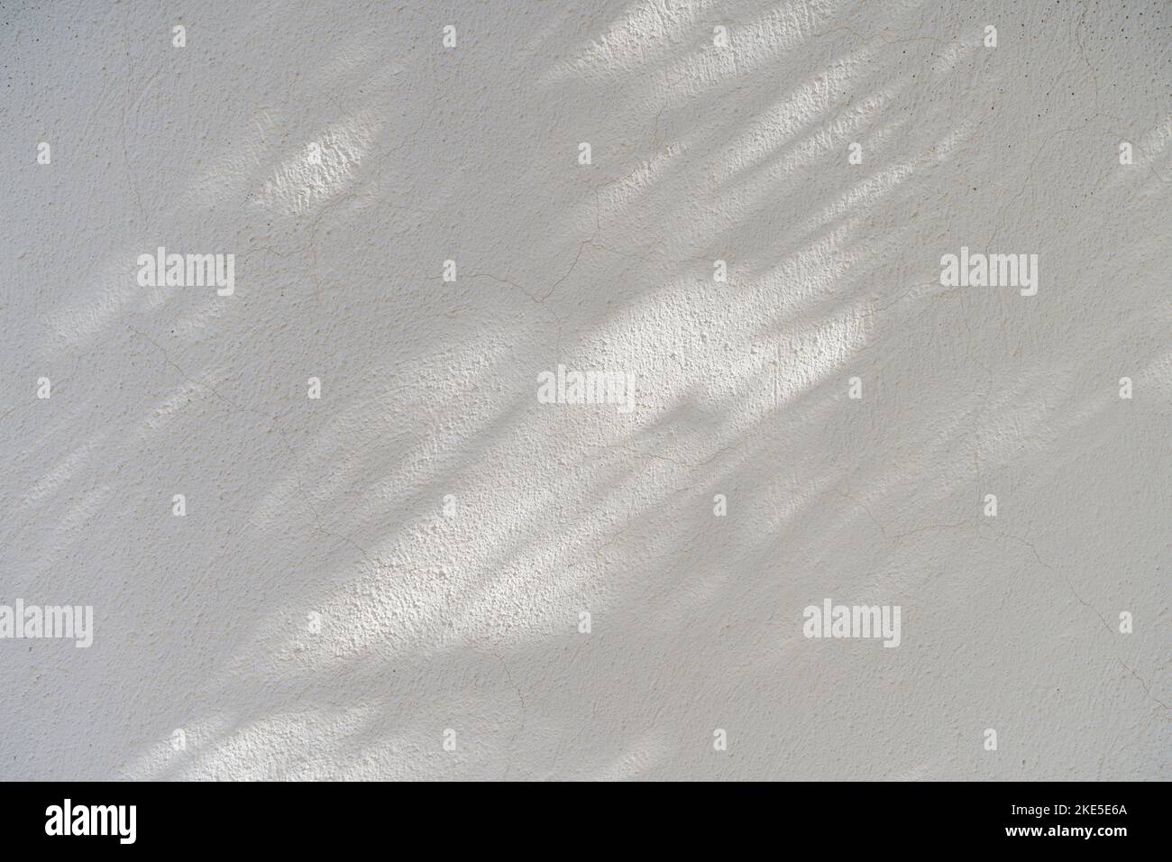 Shadow overlay effect for photo. Shadows from tree leaves and tropical branches on a white wall in sunlight. High quality photo Stock Photo