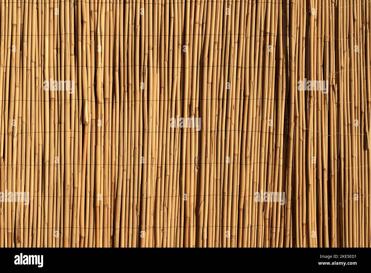 Bamboo background. Wooden texture bamboo plant on the decorative wall. High quality photo Stock Photo