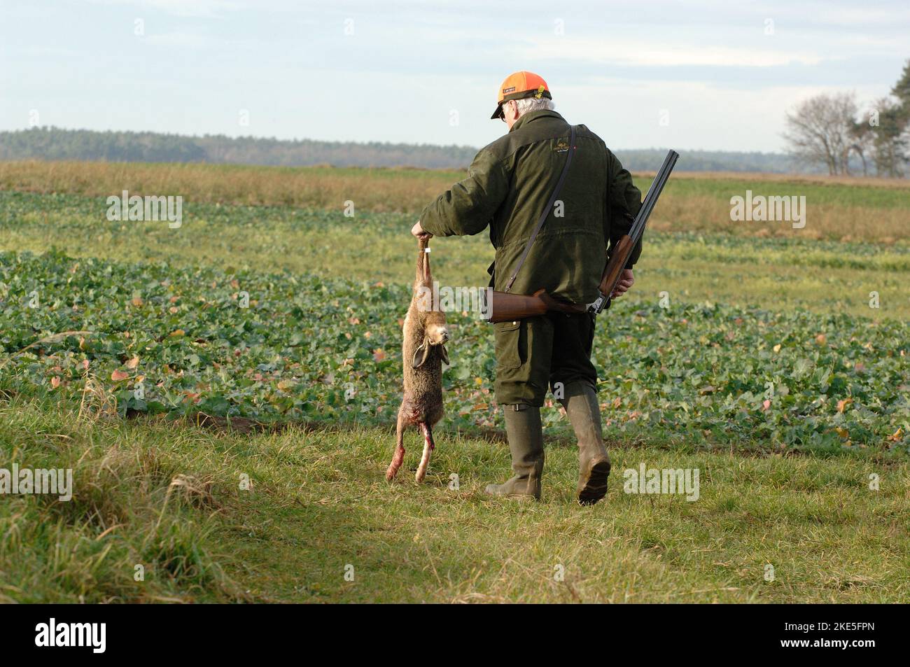 Treibjagd auf Hasen und Raubzeug, Am 08.12.06 abnorm hohe Temperaturen von 10-12 Grad Celsius, Zennwald bei Bürgfarrnbach, Pächter Herr Werner Hetteri Stock Photo