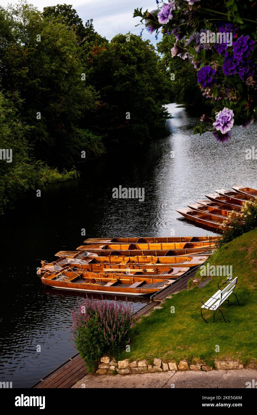 Punting boats for hire in Bath, England on the River Avon at the Bath