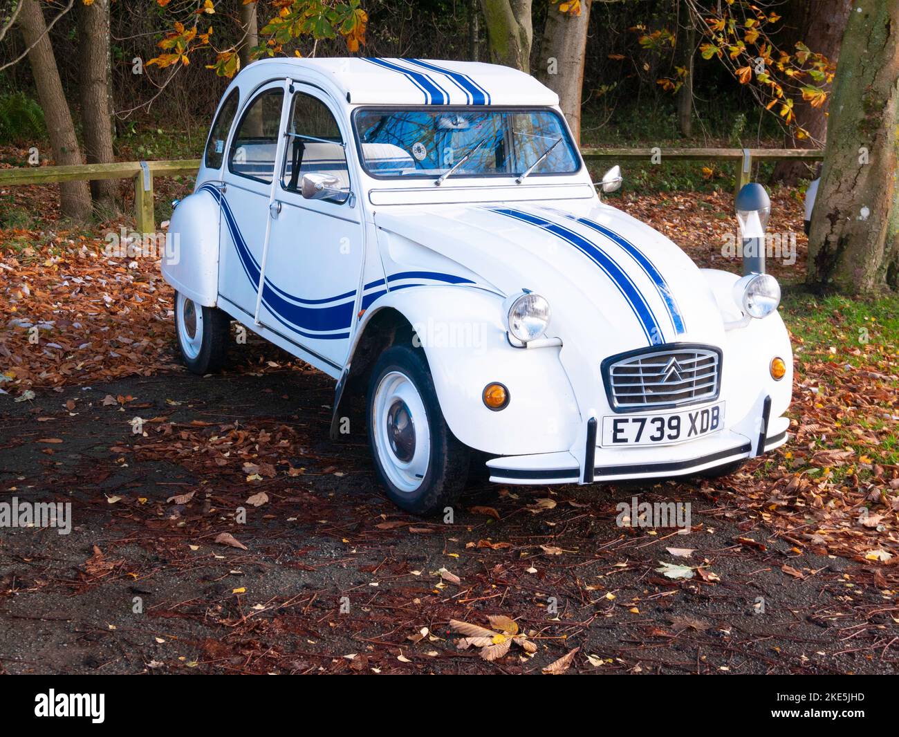 Smart white and blue 1987 registered  Citron 2CV car in Danby North Yorkshire Stock Photo