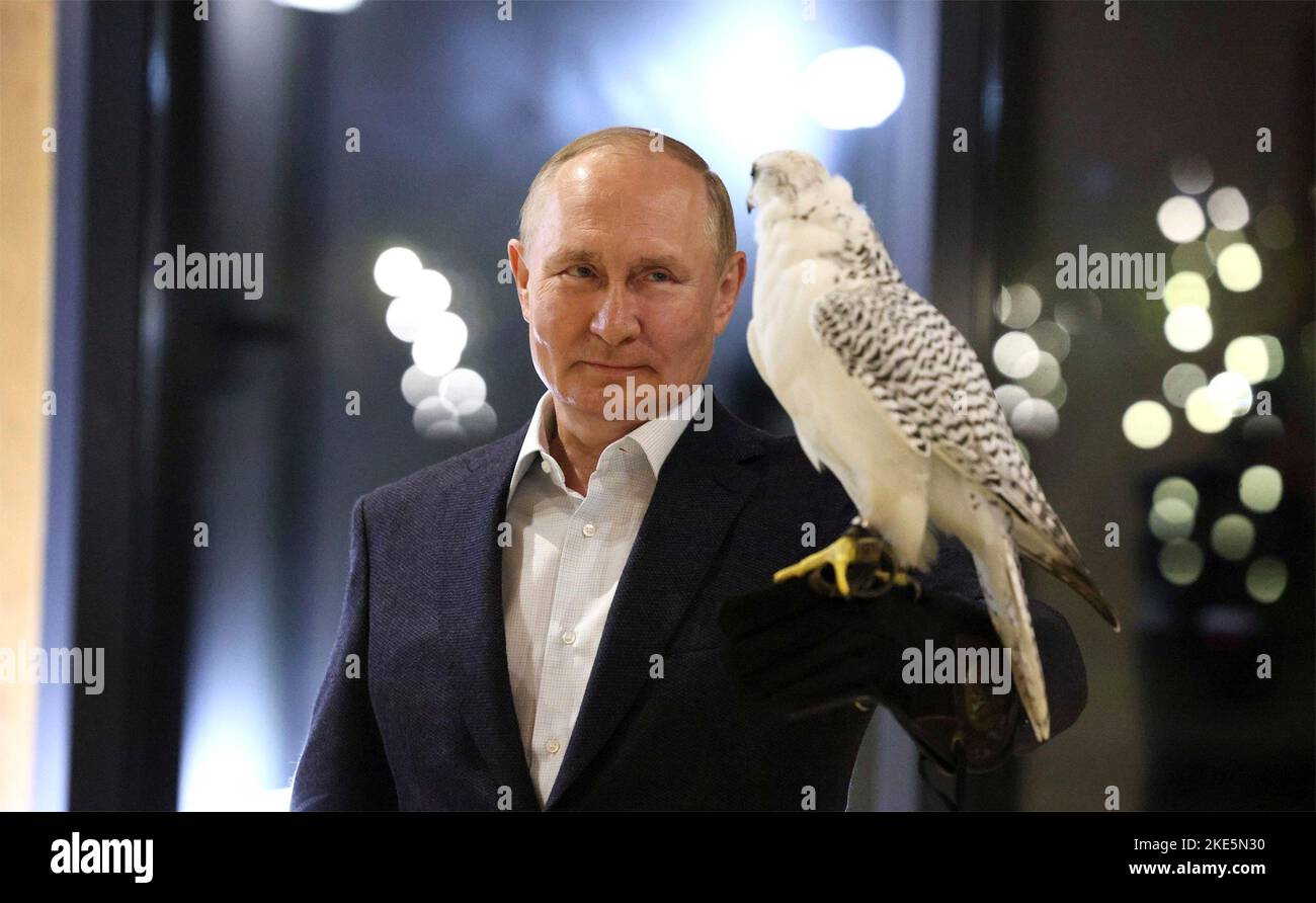 Komsomolsky , Russia. 09 September, 2022. Russian President Vladimir Putin holds a white gyrfalcon, the largest falcon species during  a visit to the Kamchatka Falcon Centre, September 9, 2022 in Milkovsky District of Kamchatka Territory, Russia.  Credit: Gavriil Grigorov/Kremlin Pool/Alamy Live News Stock Photo