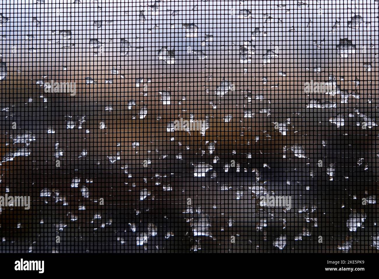 Ice frozen water on window screen mesh squares Stock Photo