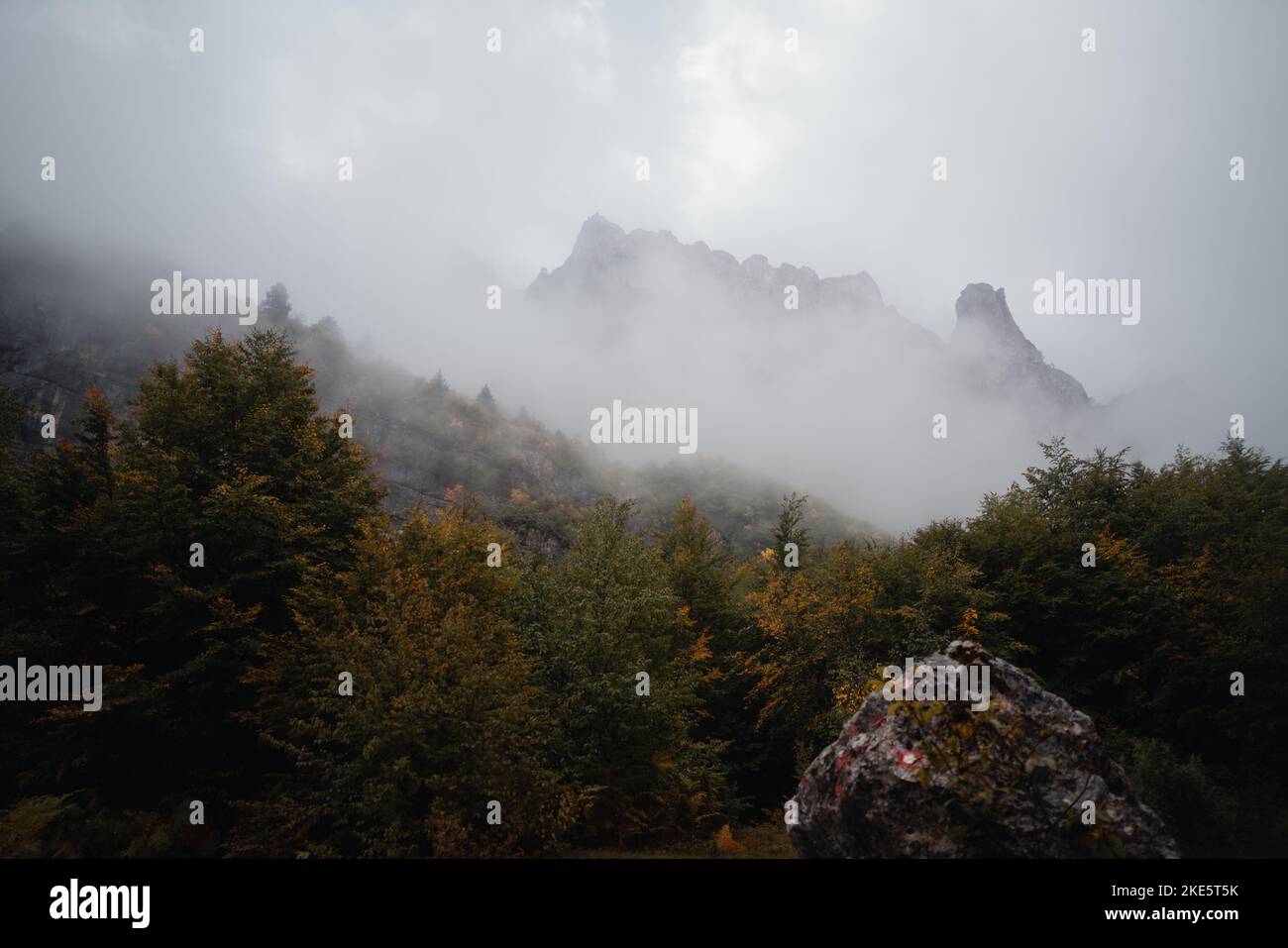 An aerial view of a beautiful forest near the mountains Stock Photo - Alamy