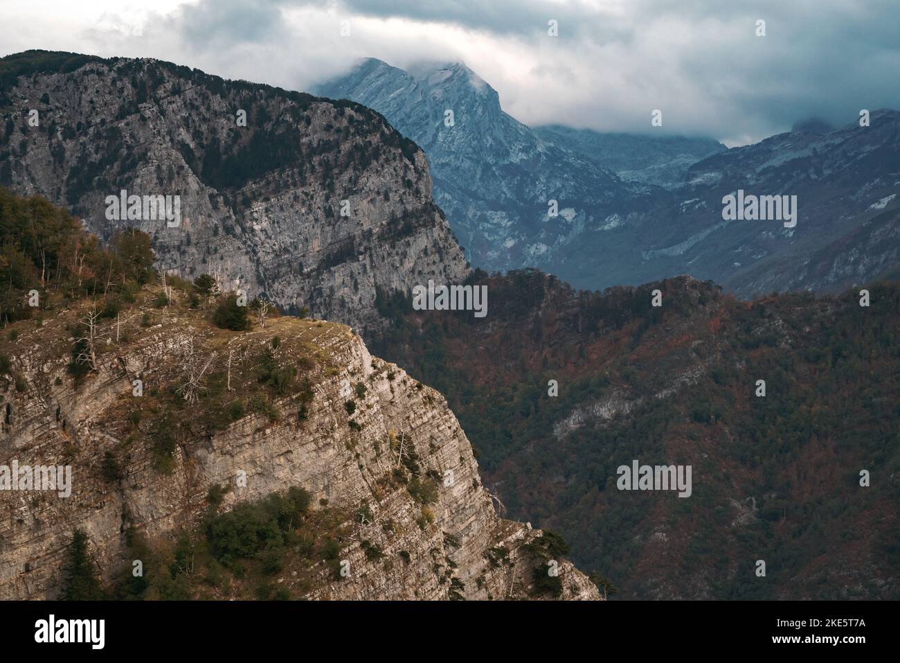 An aerial view of a beautiful forest near the mountains Stock Photo - Alamy