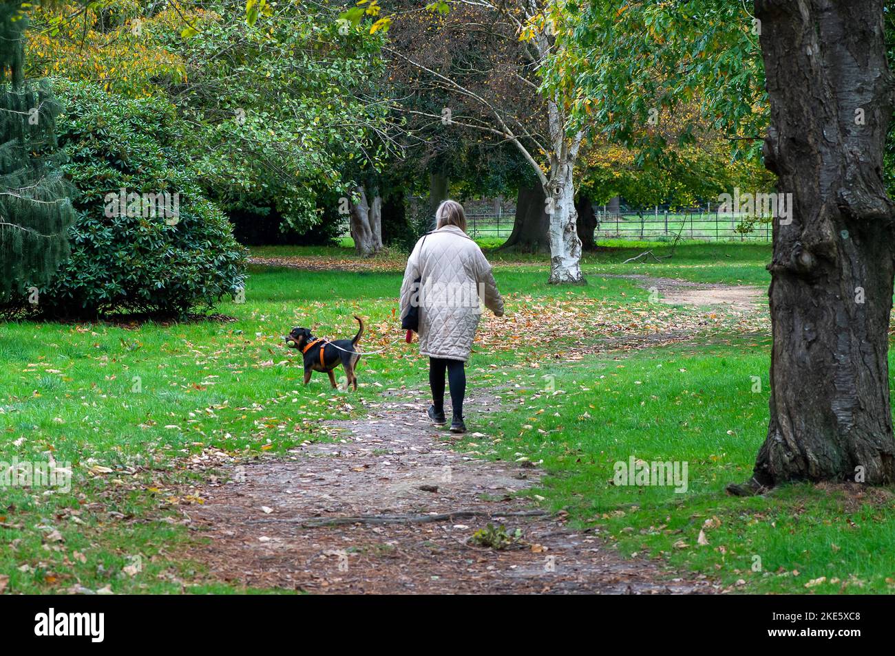 iver-buckinghamshire-uk-10th-november-2022-it-was-a-cooler-day