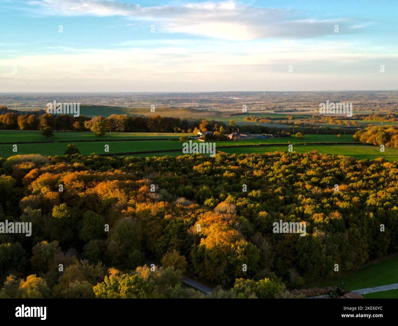 An aerial view of autumn woodlands in Ashridge, England Stock Photo