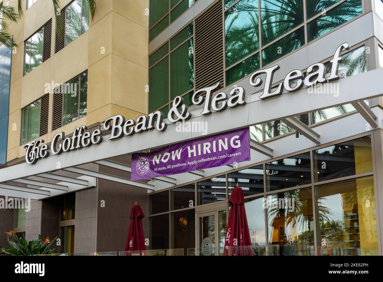 Anaheim, CA, USA – November 2, 2022: A Now Hiring hanging banner sign at a The Coffee Bean and Tea Leaf location on Katella Ave in Anaheim, California Stock Photo