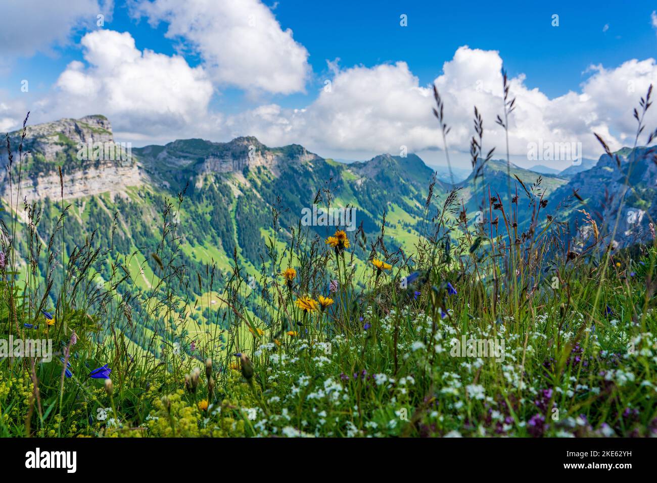Panoramic view of the Alps in Switzerland Stock Photo - Alamy
