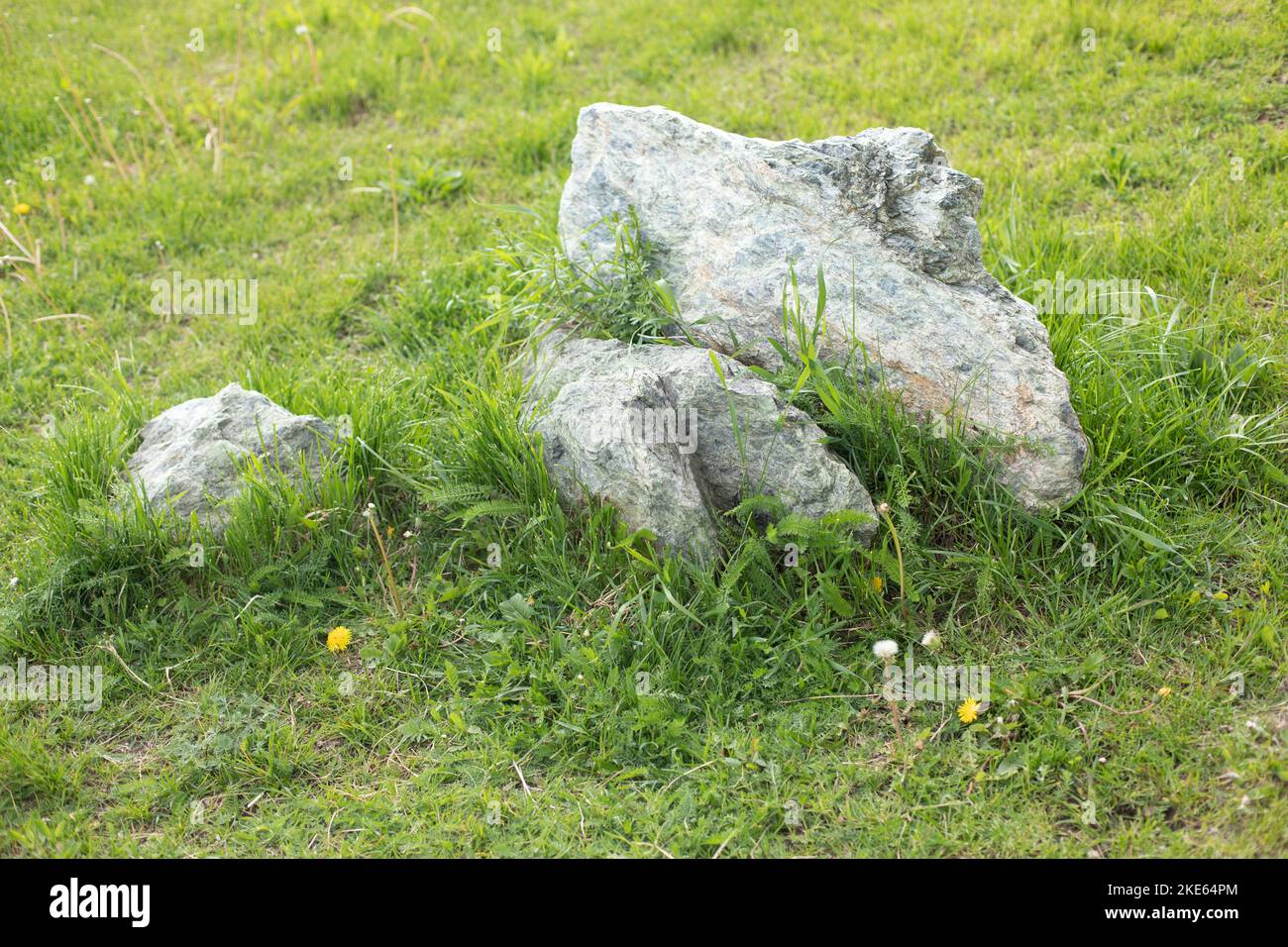 Stones in park. Landscape design of territory. Natural stones lie on grass. Stock Photo