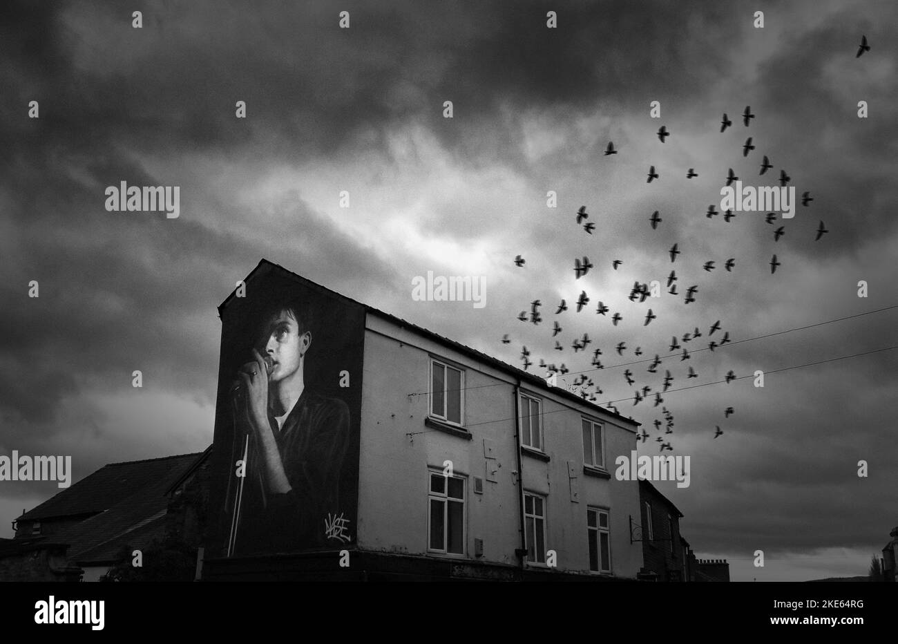 Mill Street, Macclesfield, Cheshire, England, UK,SK11 6NN, Ian Kevin Curtis, singer of Joy Division mural by Akse plus murmuration of birds Stock Photo