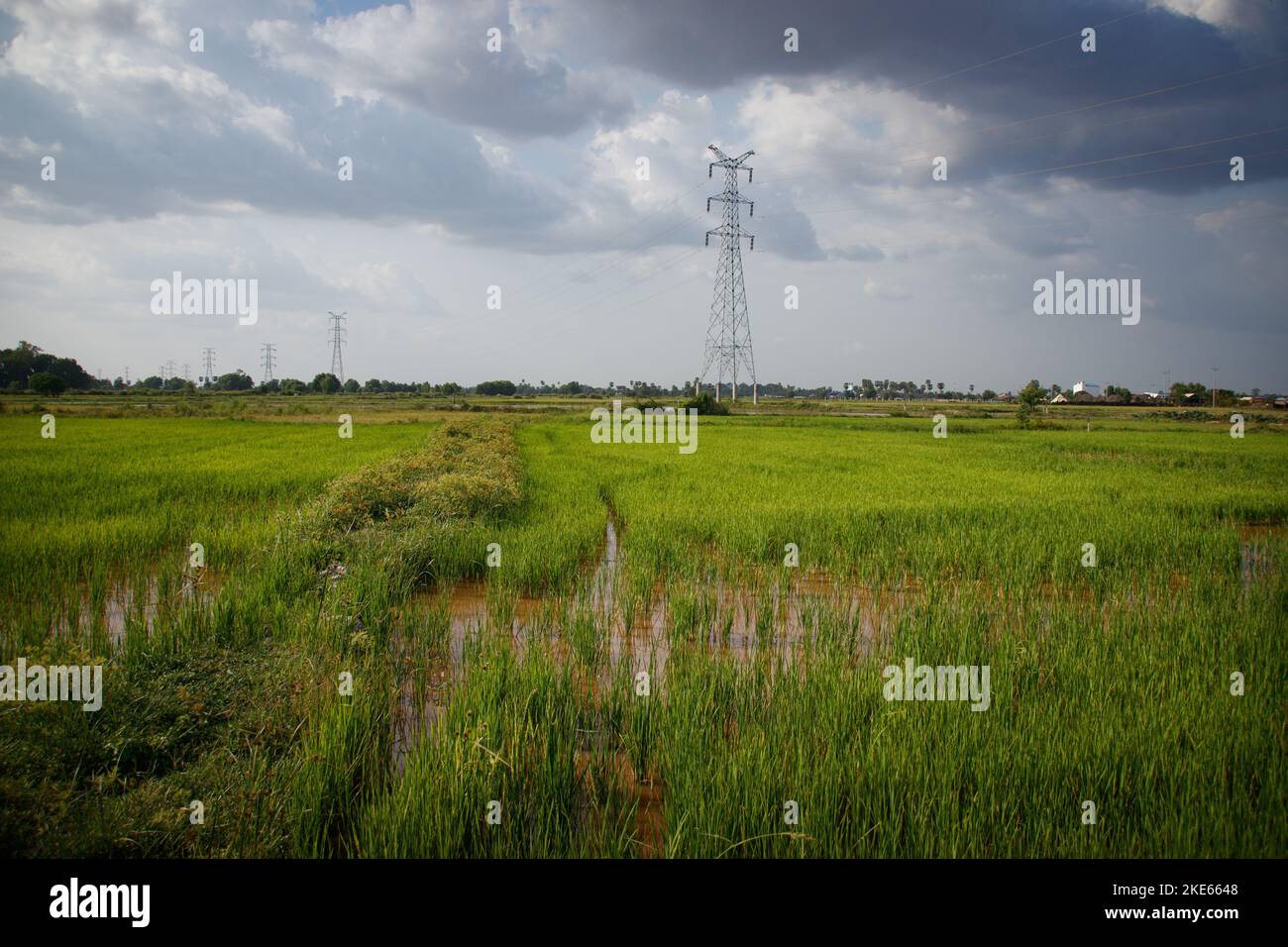 Stromy Rice Field Wide angle view of electricity transmission towers in the vast rice ...