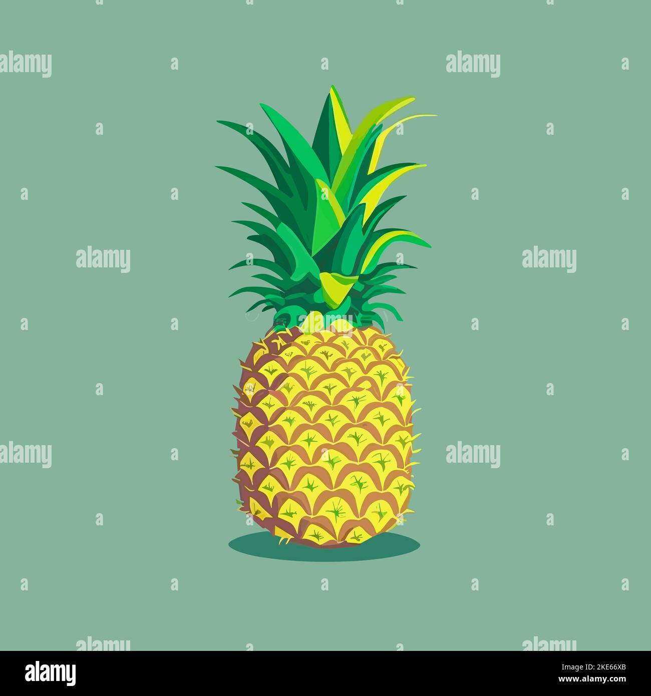 A vector illustration of a pineapple Stock Vector Image & Art - Alamy