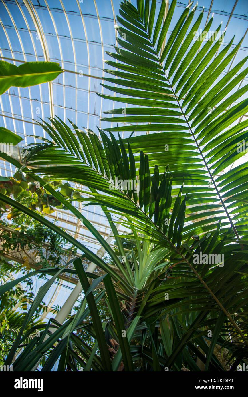 The National Botanic Gardens of Ireland Stock Photo Alamy
